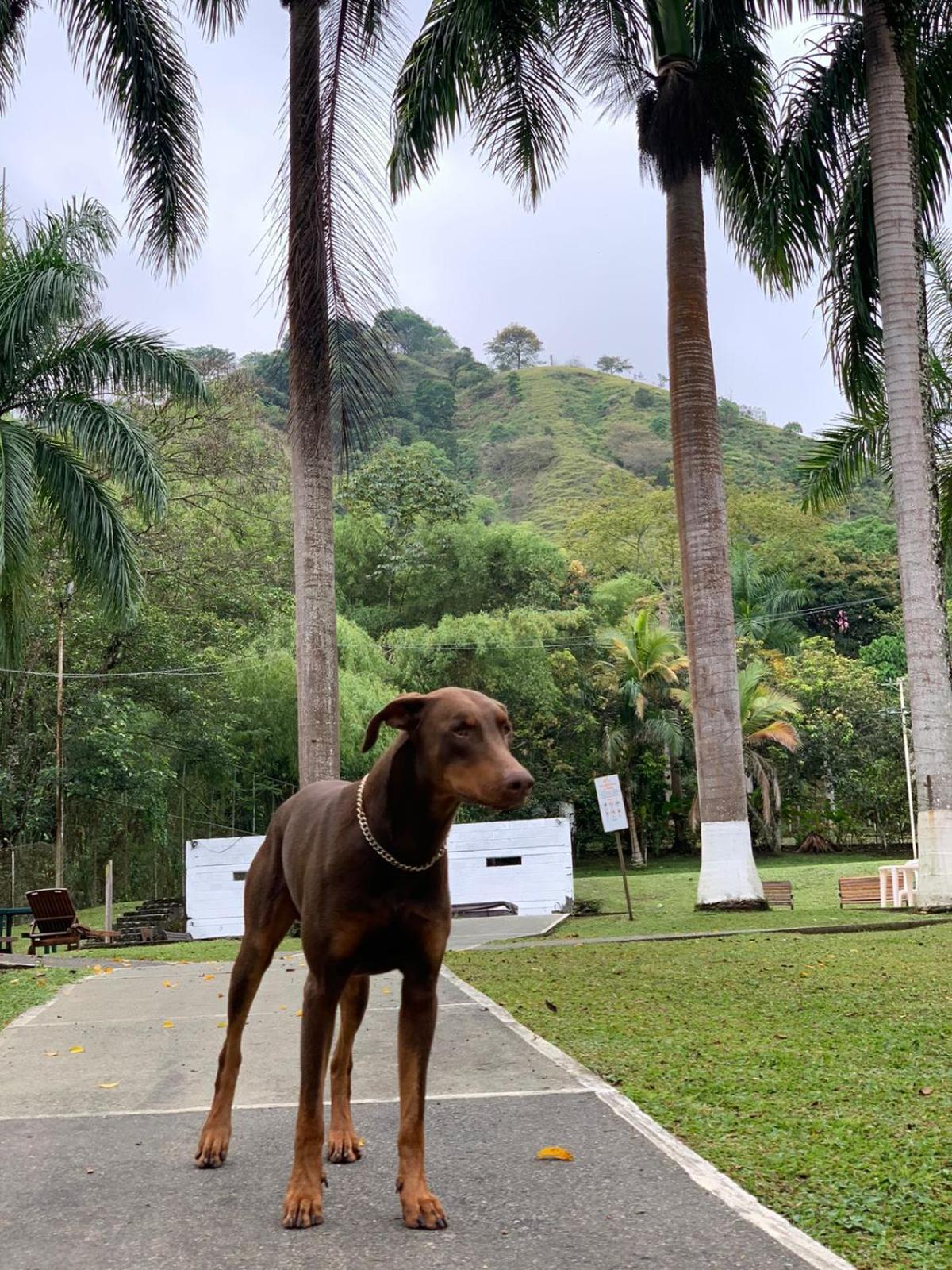 Finca Hotel La Consentida Escondida San Jeronimo  Ngoại thất bức ảnh